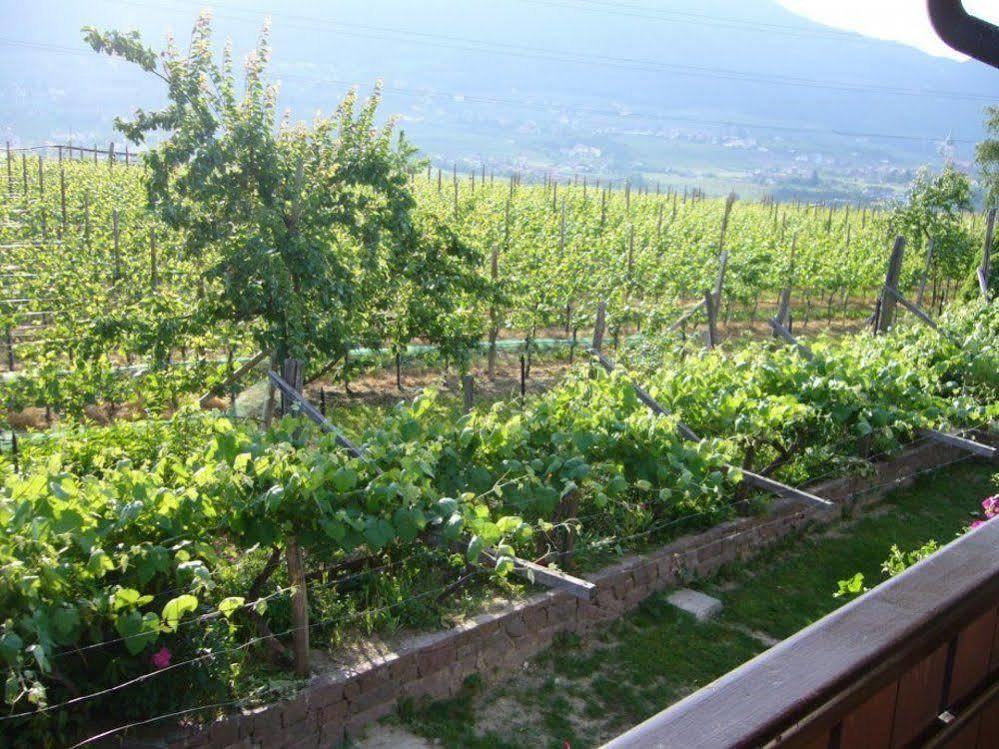 Hotel Gasthof Wastl Appiano Sulla Strada Del Vino Exterior foto